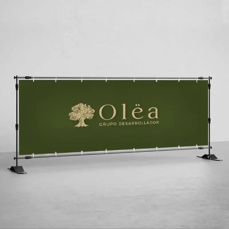OLEA6